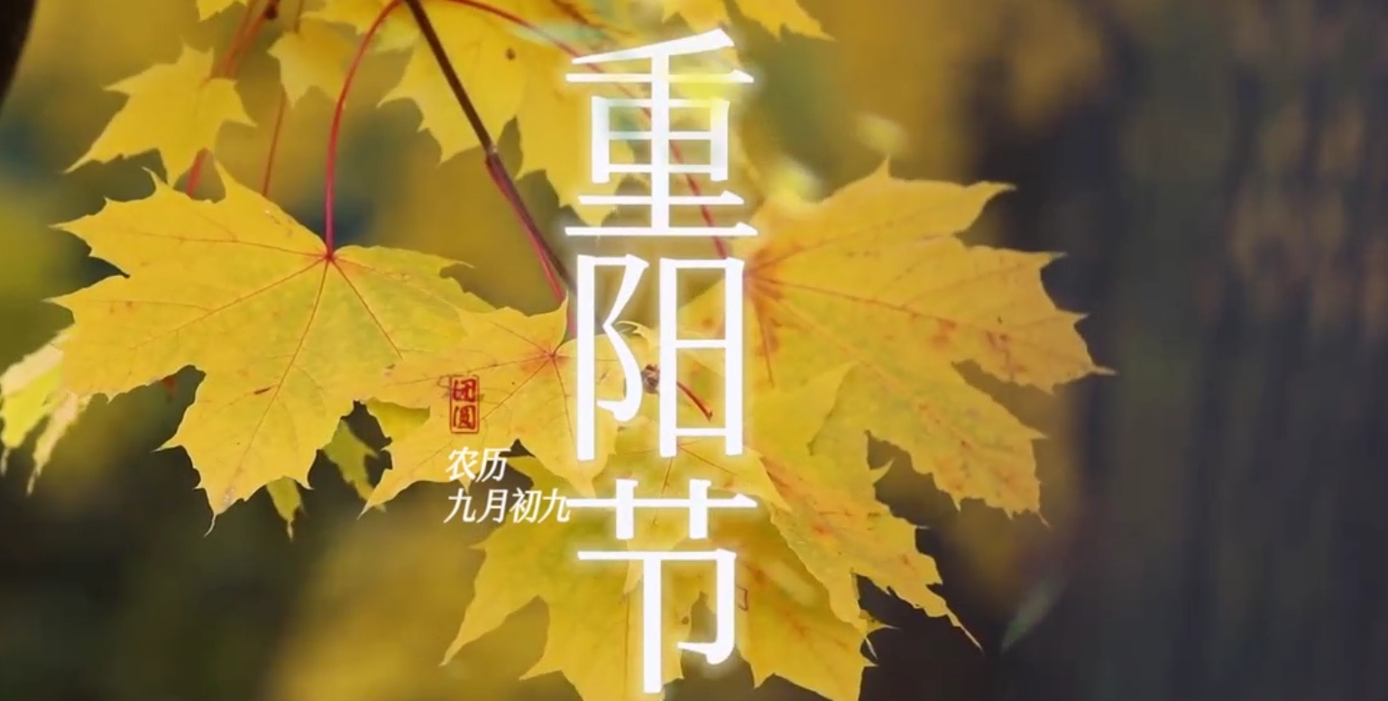 KU酷游官网-相信品牌力量