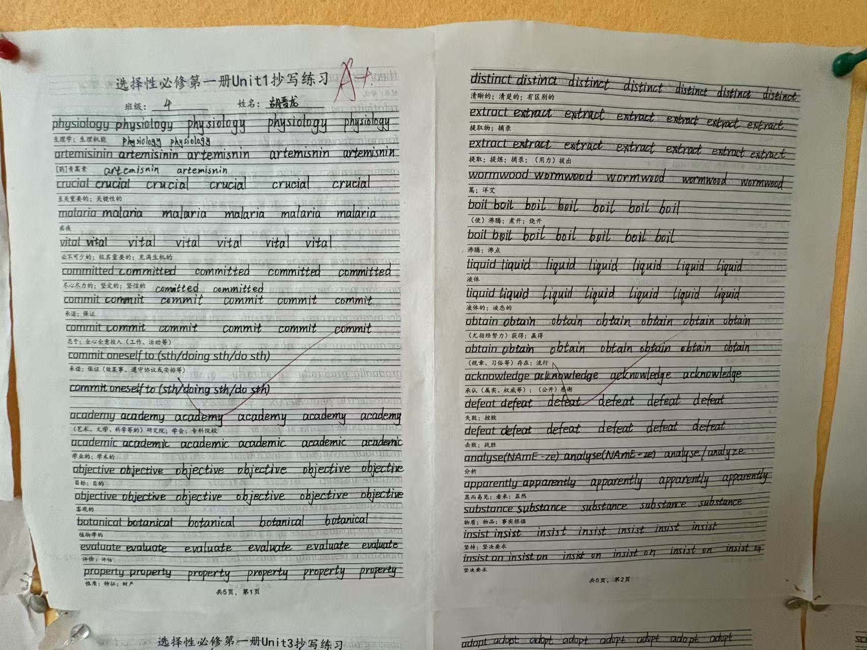 KU酷游官网-相信品牌力量